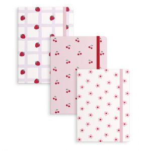 LIBRETA-CON-GOMA-COQUETTE-3-SURTIDAS-13X1,5X19-CM