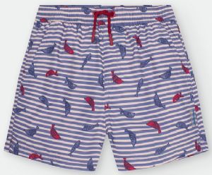 WATERLEMON-BANYADOR-TALLA-8-14-ANYOS-REF-550-04-NINYO